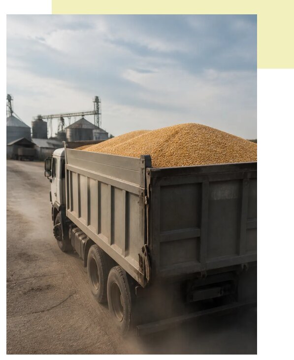 Перевозка сельхозпродукции навалом в Великого Устюг по цене от 3054 р. | Агросервис-Влс